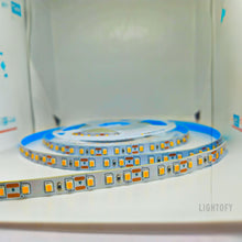 A 12-volt single color LED strip light displayed on a surface, with individual LEDs visible along the strip.