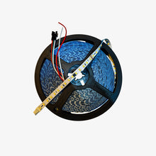 Pixel LED Strip 24 Volt WW & CCT