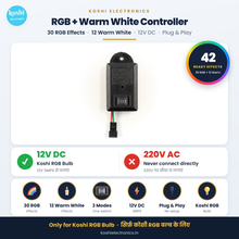 Pixel LED Bulb Controller (100 Bulbs) | RGB & RGB+W Warm White | 12V WS2811 Addressable | Diwali Lights