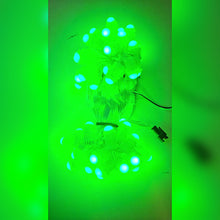 WS2811 5V RGB Pixel LED String (SMD5050) – 50 LED, 5-Inch Gap, IP68 Waterproof | India's #1 | Koshi Electronics